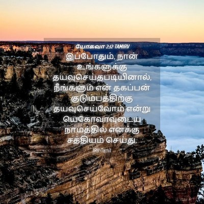 Picture 04 - யோசுவா 2:12 TAMIRV - இப்போதும், நான் - Bible Verse Picture