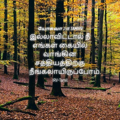 Picture 04 - யோசுவா 2:18 TAMIRV - இல்லாவிட்டால் நீ - Bible Verse Picture