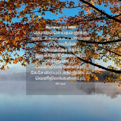 Picture 04 - யோசுவா 21:21 TAMIRV - கொலைசெய்தவனுக்கு - Bible Verse Picture