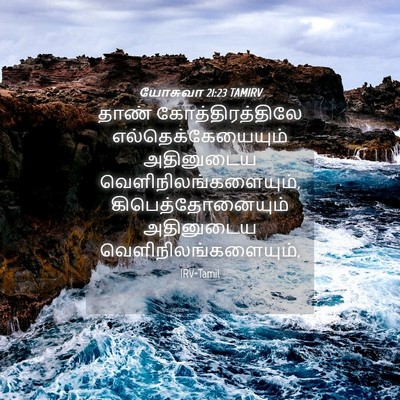 Picture 04 - யோசுவா 21:23 TAMIRV - தாண் - Bible Verse Picture