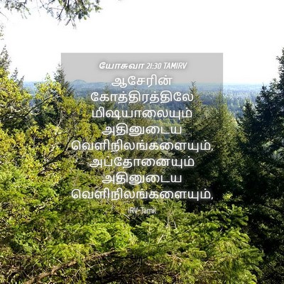 Picture 04 - யோசுவா 21:30 TAMIRV - ஆசேரின் - Bible Verse Picture