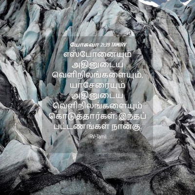 Picture 04 - யோசுவா 21:39 TAMIRV - எஸ்போனையும் - Bible Verse Picture