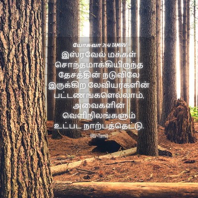 Picture 04 - யோசுவா 21:41 TAMIRV - இஸ்ரவேல் மக்கள் - Bible Verse Picture