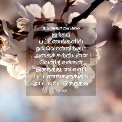 Picture 04 - யோசுவா 21:42 TAMIRV - இந்தப் - Bible Verse Picture