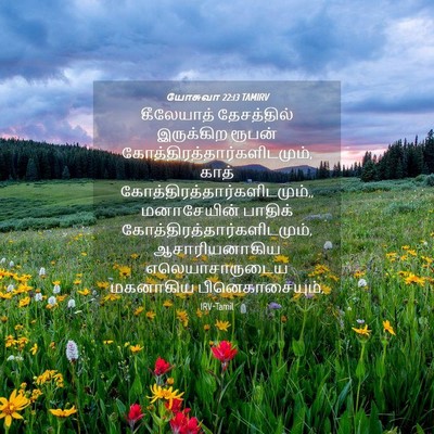 Picture 04 - யோசுவா 22:13 TAMIRV - கீலேயாத் - Bible Verse Picture