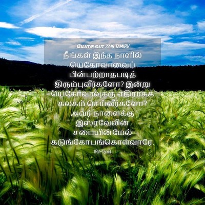 Picture 04 - யோசுவா 22:18 TAMIRV - நீங்கள் இந்த - Bible Verse Picture