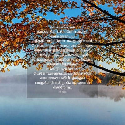 Picture 04 - யோசுவா 22:28 TAMIRV - நாளைக்கு - Bible Verse Picture