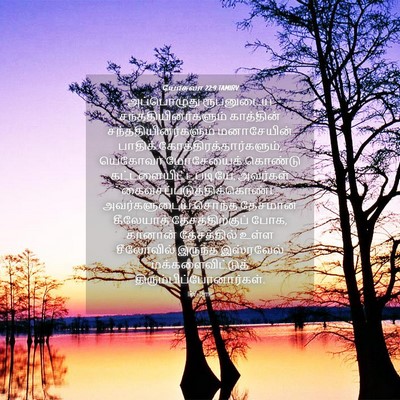 Picture 04 - யோசுவா 22:9 TAMIRV - அப்பொழுது - Bible Verse Picture