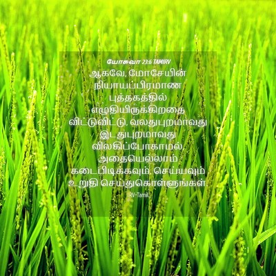 Picture 04 - யோசுவா 23:6 TAMIRV - ஆகவே, மோசேயின் - Bible Verse Picture