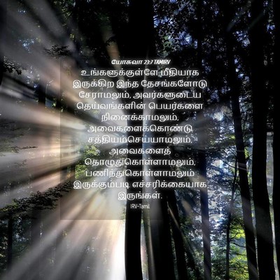 Picture 04 - யோசுவா 23:7 TAMIRV - உங்களுக்குள்ளே - Bible Verse Picture