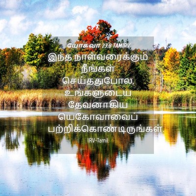 Picture 04 - யோசுவா 23:8 TAMIRV - இந்த - Bible Verse Picture