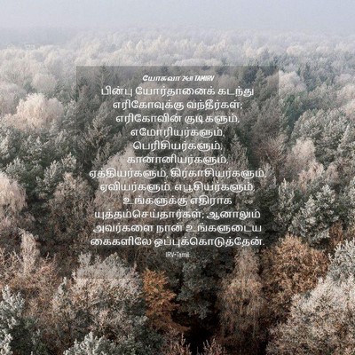 Picture 04 - யோசுவா 24:11 TAMIRV - பின்பு யோர்தானைக் - Bible Verse Picture