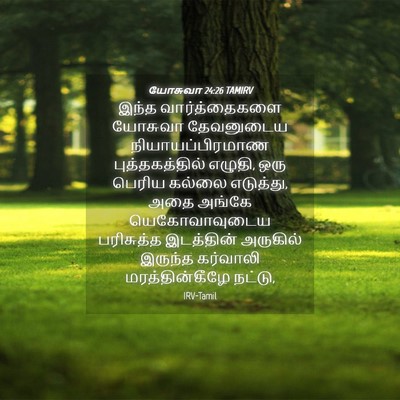 Picture 04 - யோசுவா 24:26 TAMIRV - இந்த வார்த்தைகளை - Bible Verse Picture