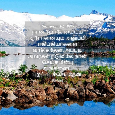 Picture 04 - யோசுவா 24:5 TAMIRV - நான் மோசேயையும் - Bible Verse Picture