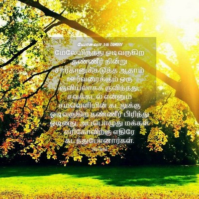 Picture 04 - யோசுவா 3:16 TAMIRV - மேலேயிருந்து - Bible Verse Picture