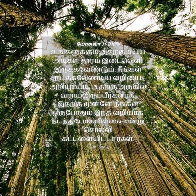 Picture 04 - யோசுவா 3:4 TAMIRV - உங்களுக்கும் - Bible Verse Picture
