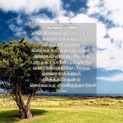 Picture 04 - யோசுவா 5:5 TAMIRV - எகிப்திலிருந்து - Bible Verse Picture