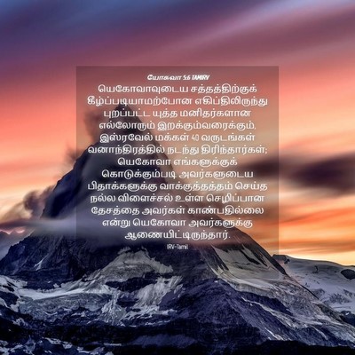 Picture 04 - யோசுவா 5:6 TAMIRV - யெகோவாவுடைய - Bible Verse Picture