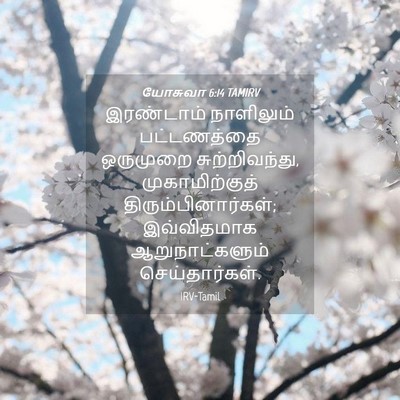 Picture 04 - யோசுவா 6:14 TAMIRV - இரண்டாம் நாளிலும் - Bible Verse Picture