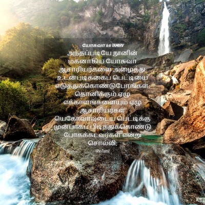 Picture 04 - யோசுவா 6:6 TAMIRV - அந்தப்படியே - Bible Verse Picture