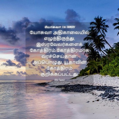 Picture 04 - யோசுவா 7:16 TAMIRV - யோசுவா - Bible Verse Picture