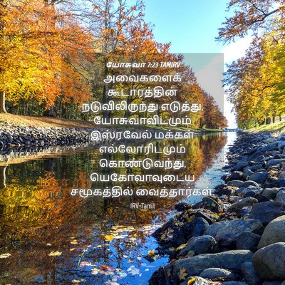 Picture 04 - யோசுவா 7:23 TAMIRV - அவைகளைக் - Bible Verse Picture