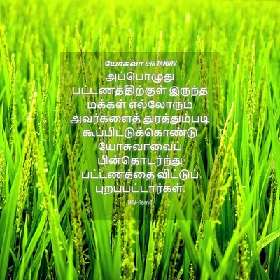Picture 04 - யோசுவா 8:16 TAMIRV - அப்பொழுது - Bible Verse Picture