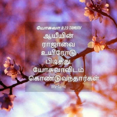 Picture 04 - யோசுவா 8:23 TAMIRV - ஆயீயின் ராஜாவை - Bible Verse Picture