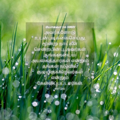 Picture 04 - யோசுவா 9:16 TAMIRV - அவர்களோடு - Bible Verse Picture