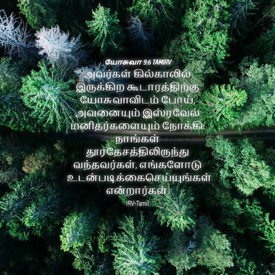 Picture 04 - யோசுவா 9:6 TAMIRV - அவர்கள் - Bible Verse Picture
