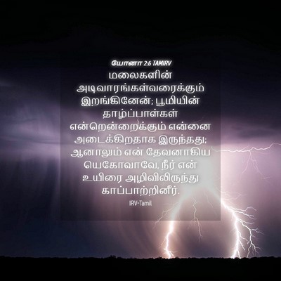 Picture 04 - யோனா 2:6 TAMIRV - மலைகளின் - Bible Verse Picture