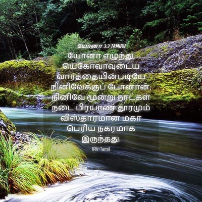 Picture 04 - யோனா 3:3 TAMIRV - யோனா எழுந்து, - Bible Verse Picture