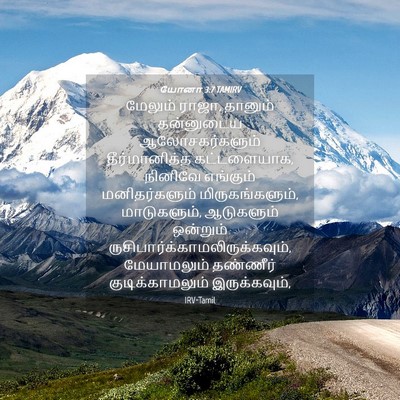 Picture 04 - யோனா 3:7 TAMIRV - மேலும் ராஜா, - Bible Verse Picture