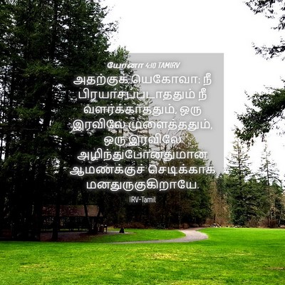 Picture 04 - யோனா 4:10 TAMIRV - அதற்குக் யெகோவா: - Bible Verse Picture