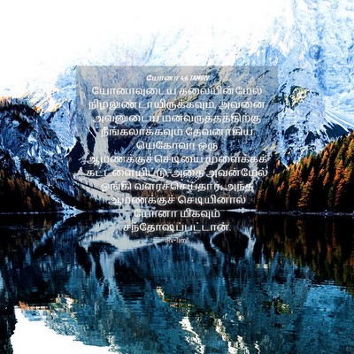 Picture 04 - யோனா 4:6 TAMIRV - யோனாவுடைய - Bible Verse Picture