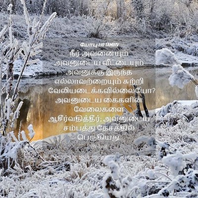Picture 04 - யோபு 1:10 TAMIRV - நீர் அவனையும் - Bible Verse Picture