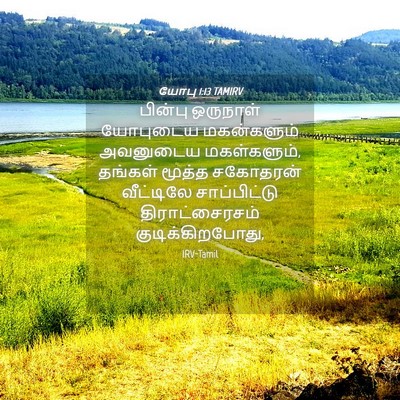 Picture 04 - யோபு 1:13 TAMIRV - பின்பு ஒருநாள் - Bible Verse Picture