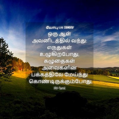 Picture 04 - யோபு 1:14 TAMIRV - ஒரு ஆள் - Bible Verse Picture