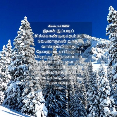 Picture 04 - யோபு 1:16 TAMIRV - இவன் இப்படிப் - Bible Verse Picture