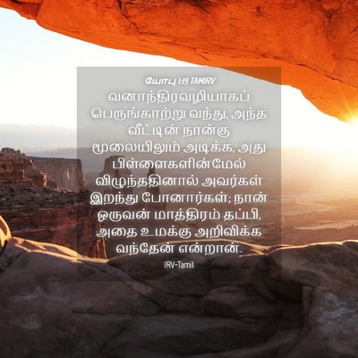 Picture 04 - யோபு 1:19 TAMIRV - வனாந்திரவழியாகப் - Bible Verse Picture