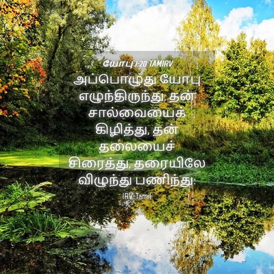 Picture 04 - யோபு 1:20 TAMIRV - அப்பொழுது யோபு - Bible Verse Picture