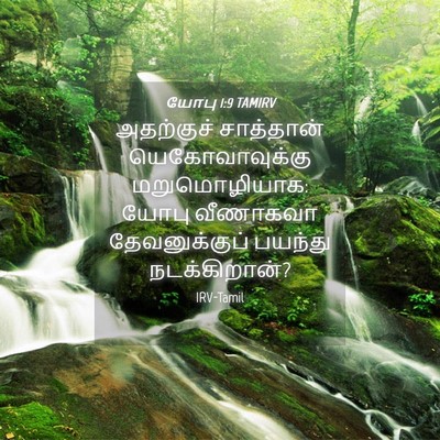 Picture 04 - யோபு 1:9 TAMIRV - அதற்குச் சாத்தான் - Bible Verse Picture