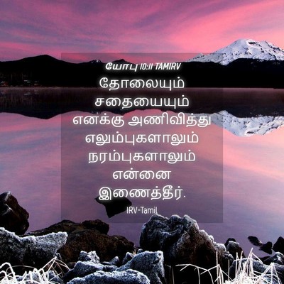 Picture 04 - யோபு 10:11 TAMIRV - தோலையும் - Bible Verse Picture
