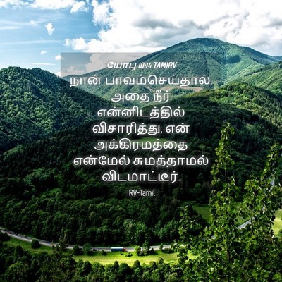 Picture 04 - யோபு 10:14 TAMIRV - நான் - Bible Verse Picture