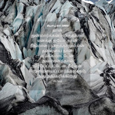 Picture 04 - யோபு 10:15 TAMIRV - நான் - Bible Verse Picture