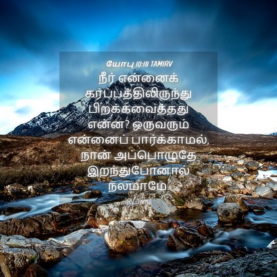 Picture 04 - யோபு 10:18 TAMIRV - நீர் என்னைக் - Bible Verse Picture