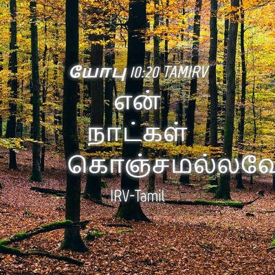 Picture 04 - யோபு 10:20 TAMIRV - என் நாட்கள் - Bible Verse Picture