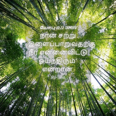 Picture 04 - யோபு 10:22 TAMIRV - நான் சற்று - Bible Verse Picture