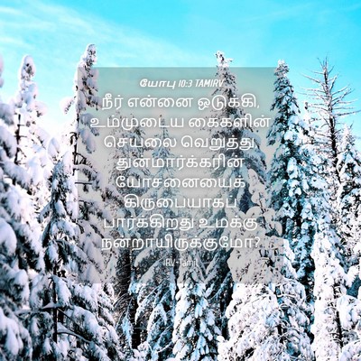 Picture 04 - யோபு 10:3 TAMIRV - நீர் என்னை - Bible Verse Picture