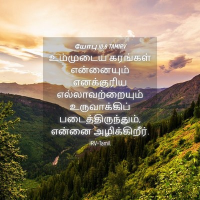 Picture 04 - யோபு 10:8 TAMIRV - உம்முடைய கரங்கள் - Bible Verse Picture